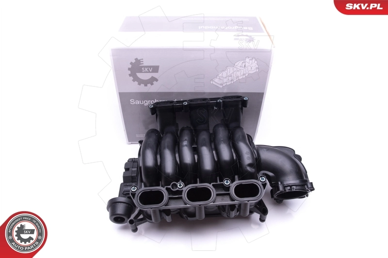 Intake Manifold Module